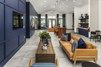 Living room with blue walls